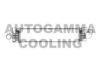 AUTOGAMMA 103425 Intercooler, charger